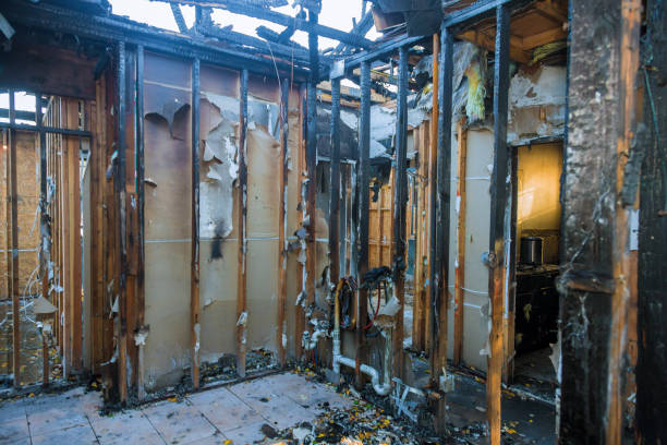 Professional Emergency Fire Cleanup technician working in Indian Rocks Beach, FL